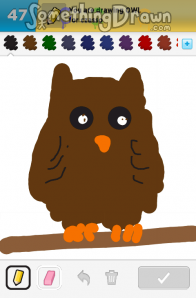 owl