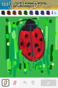 ladybug