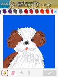 shihtzu