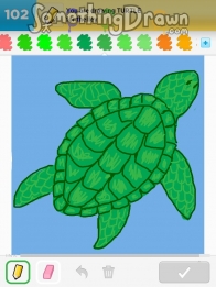 turtle