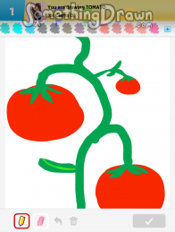 tomato