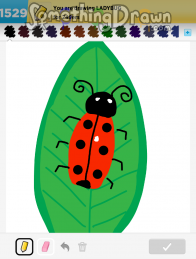 ladybug