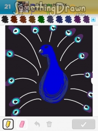 peacock