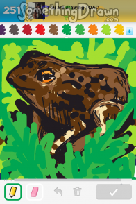 toad