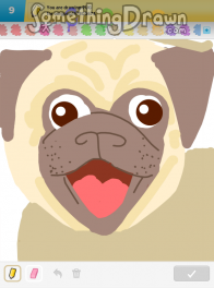 Pug