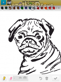 pug