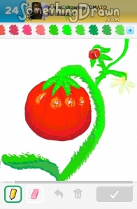 tomato