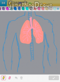 lungs