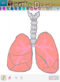 lungs