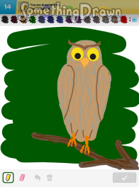 owl