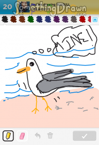 seagull