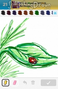 ladybug