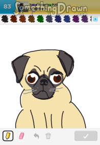 pug