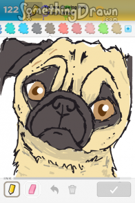 pug