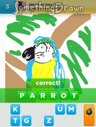 parrot