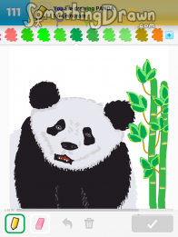 panda