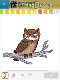 Owl