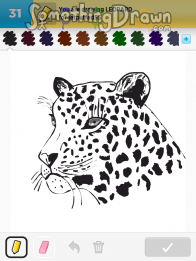 Leopard