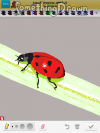 Ladybug