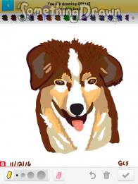 collie