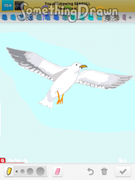 seagull