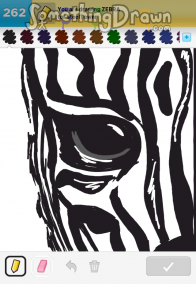 zebra