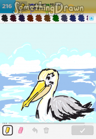 pelican