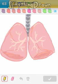 lungs