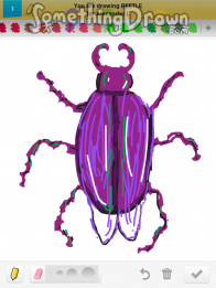 beetle