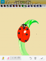 ladybug