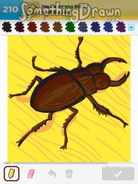 beetle