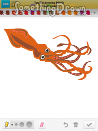 squid