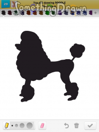 poodle