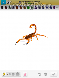 scorpion