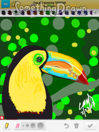 toucan