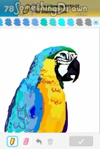 Parrot