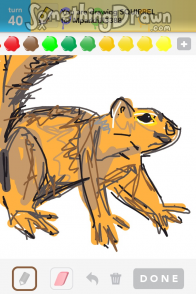 squirrel