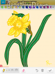 daffodil