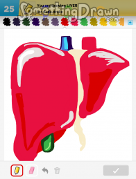 liver