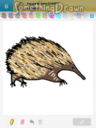 echidna