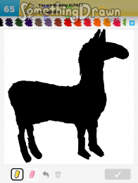 alpaca