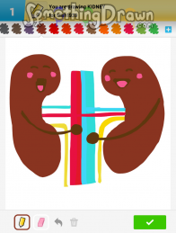 kidney