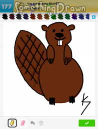 beaver