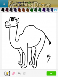 camel