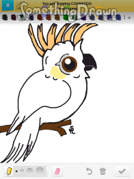 cockatoo