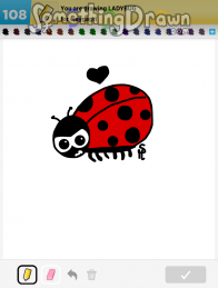 ladybug