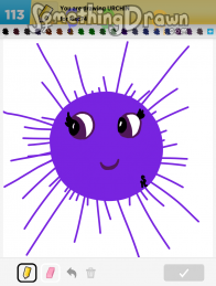 urchin