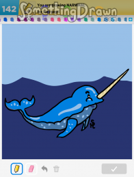 narwhal