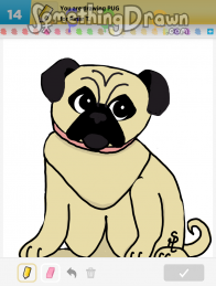 pug