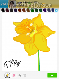 daffodil